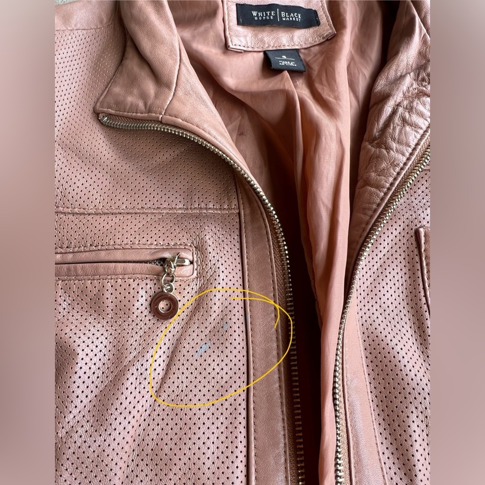 White House Black Market Light Mocha 100% Leather Perforated Moto Jacket Sz S - Picture 10 of 11